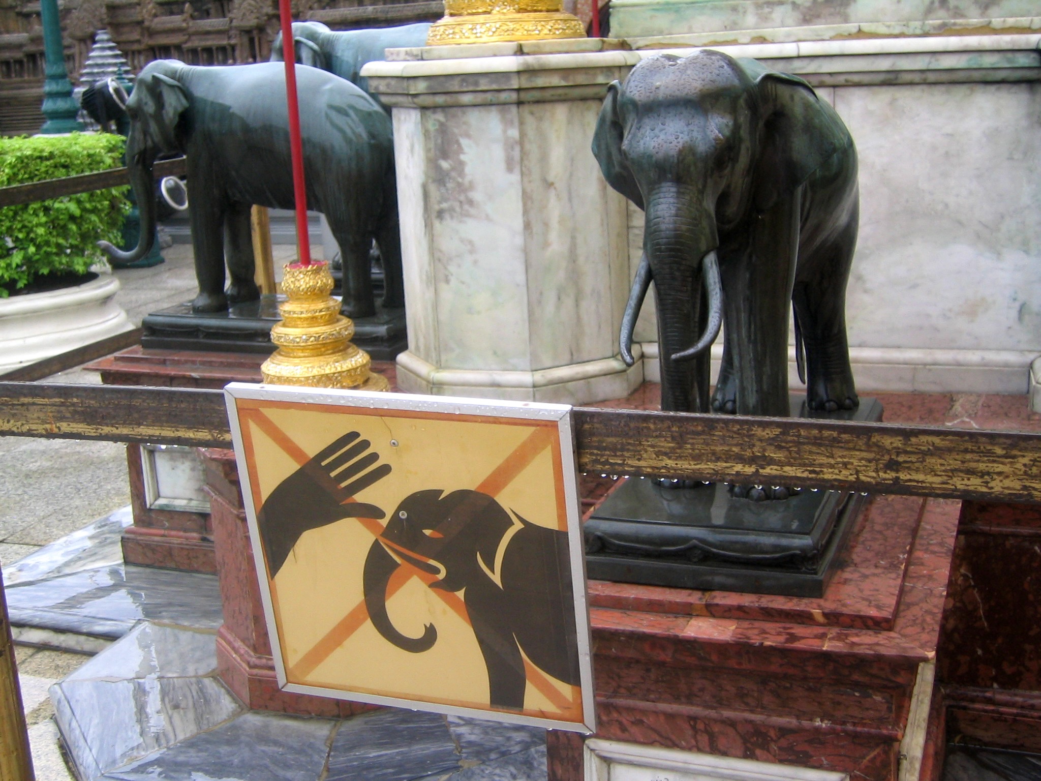 Dont Hit the Elephants