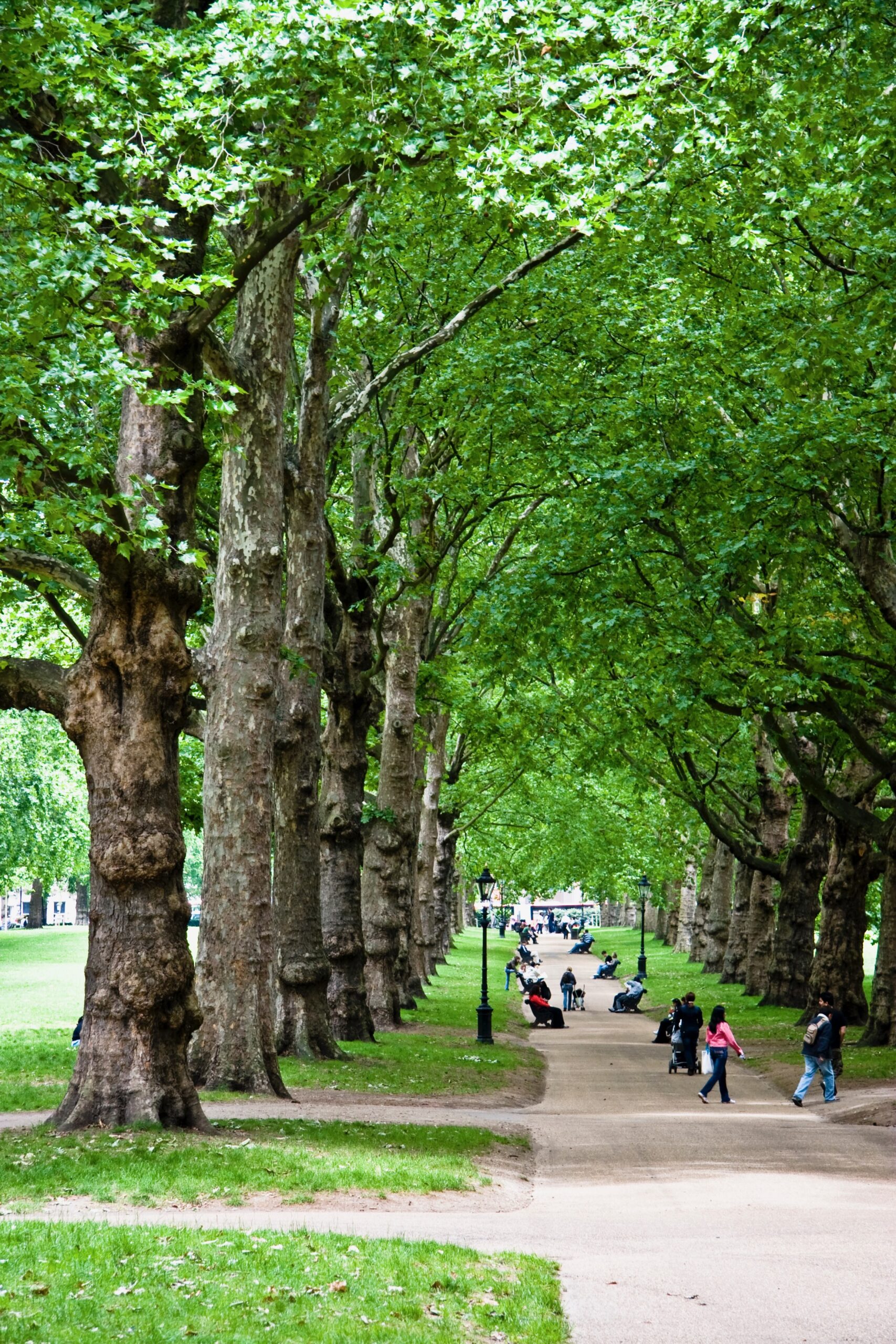 july_11_07_london 035