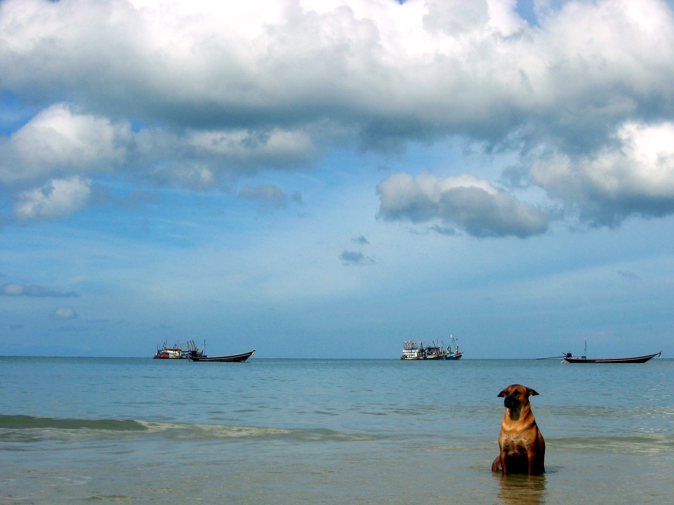 thailandia-thebeach-day4and5 054